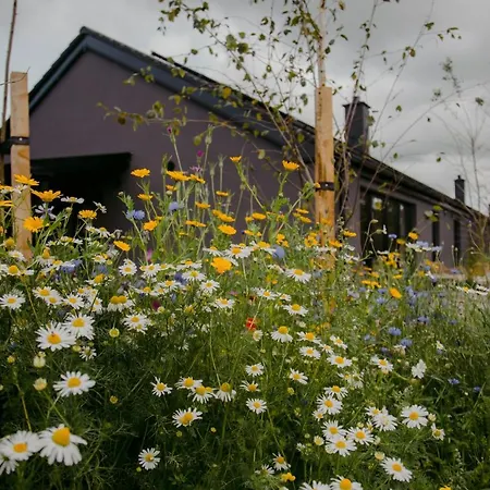 The Deerstone Luxury Eco Hideaway Villa *