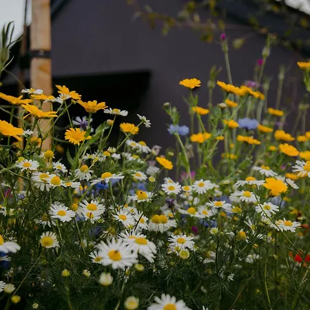 The Deerstone Luxury Eco Hideaway Βίλα