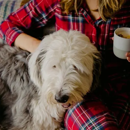 Βίλα The Deerstone Luxury Eco Hideaway *