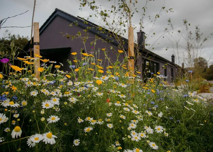 The Deerstone Luxury Eco Hideaway Вилла *