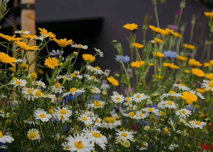 The Deerstone Luxury Eco Hideaway Вилла