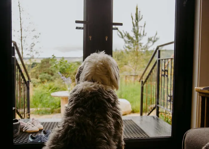 Вилла The Deerstone Luxury Eco Hideaway