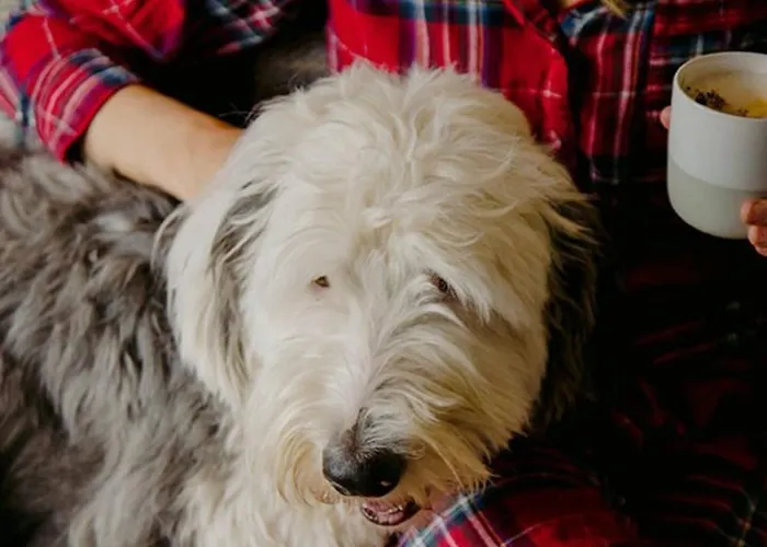 Вилла The Deerstone Luxury Eco Hideaway *